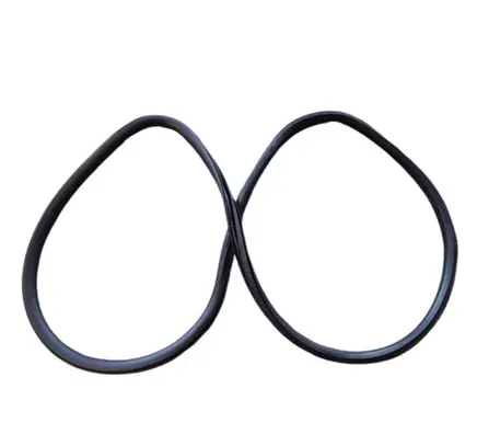 Opel Insignia A Front door rubber seal 