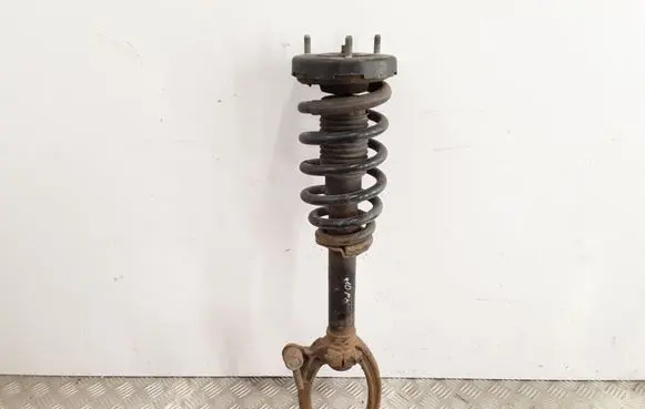 Hyundai Sonata Front shock absorber with coil spring 10032914