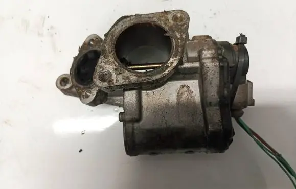 Suzuki Grand Vitara II EGR valve A2C53025930