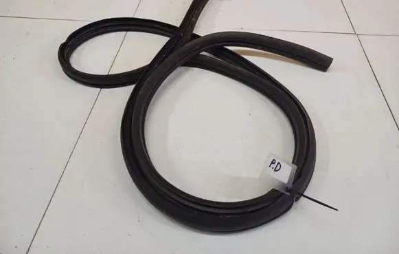 Renault Scenic I Rubber seal front coupe door 
