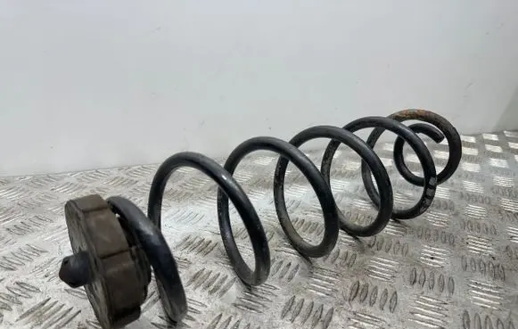 Volkswagen PASSAT B7 Rear coil spring