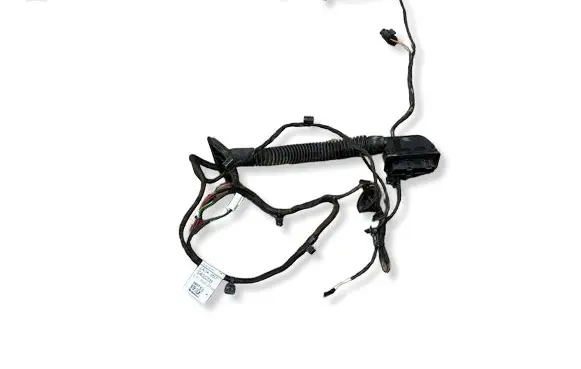 Mercedes-Benz CLS C257 Front door wiring loom A2575402209