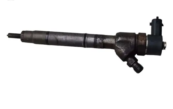 Renault Kangoo II Fuel injector 338002A900 0445110320