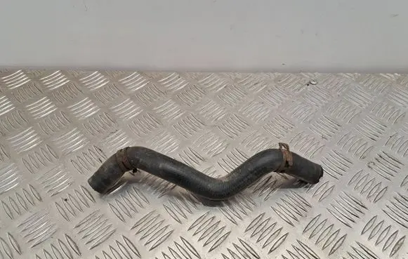 Mercedes-Benz A W169 Engine coolant pipe/hose A1695010582