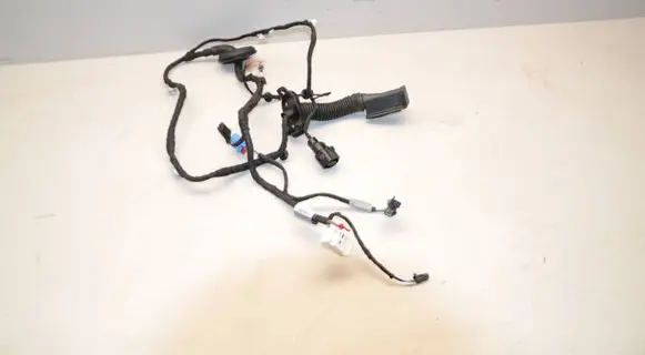 Audi A5 Rear door wiring loom 8W8971687M 10155