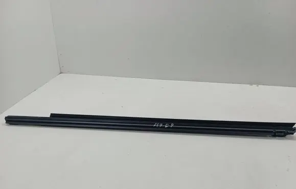 Lexus NX Rubber seal front door window/glass 