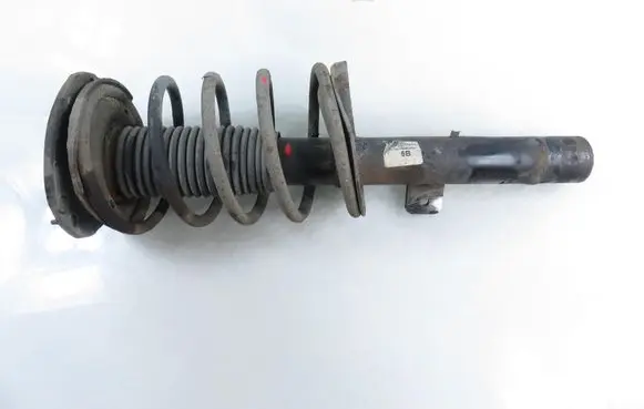 Peugeot 206 CC Front shock absorber with coil spring