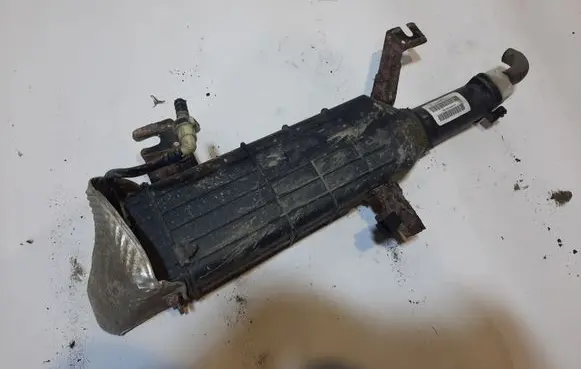 Volkswagen Routan Active carbon filter fuel vapour canister 04891801AB