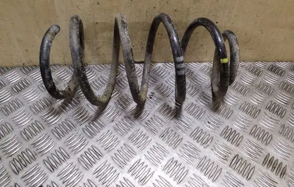 Front coil spring