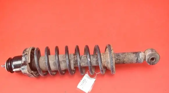 Mitsubishi Lancer VIII Rear shock absorber/damper 4162A036