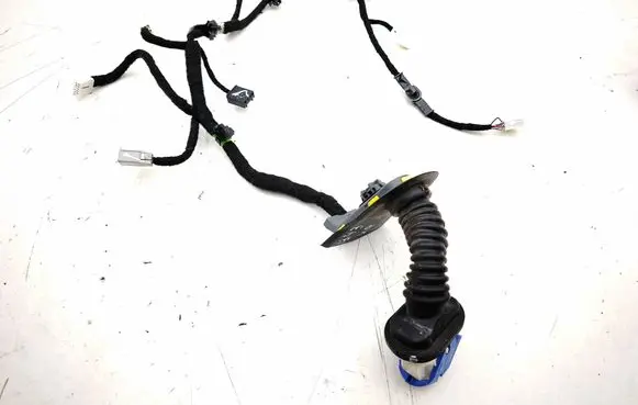 Front door wiring loom