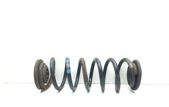 Rear coil spring