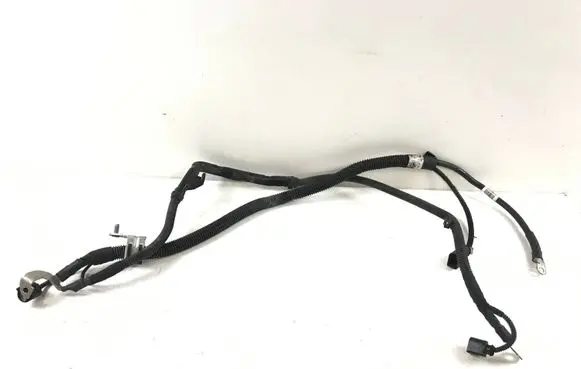 Audi A4 S4 B9 Wires (generator/alternator) 8W0971824AA