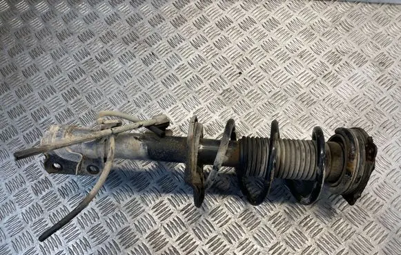 Nissan Juke I F15 Front shock absorber/damper