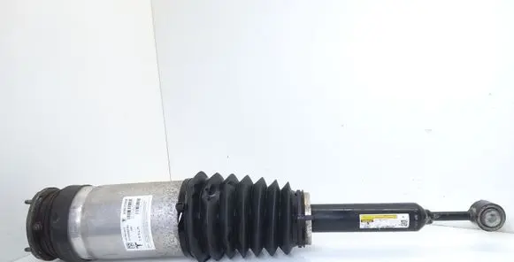 Tesla Model X Rear shock absorber/damper 102746100E
