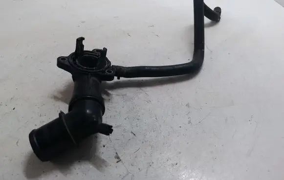Thermostat/thermostat housing