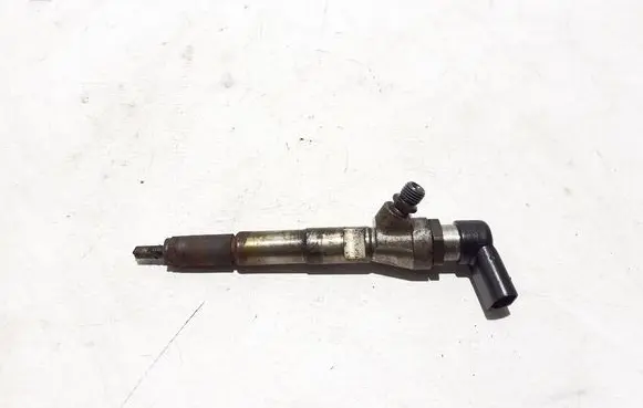 Renault Megane III Fuel injector 166008052R