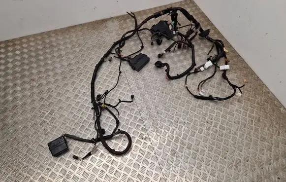 Renault Kadjar Other wiring loom 242704EA0B