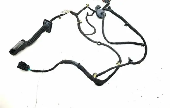Rear door wiring loom
