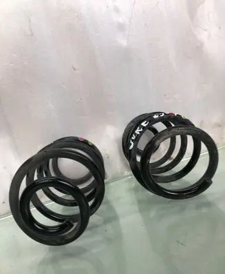 Rear coil spring