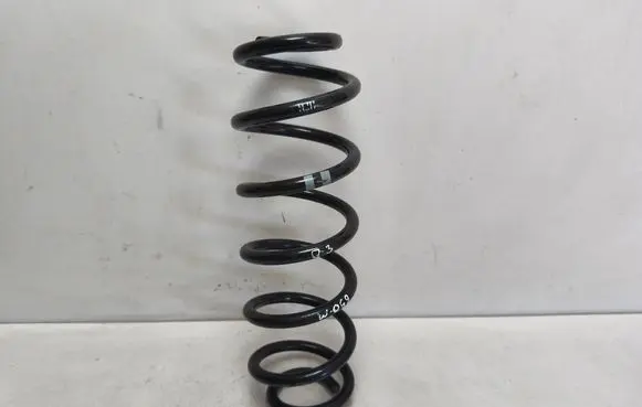 Rear coil spring