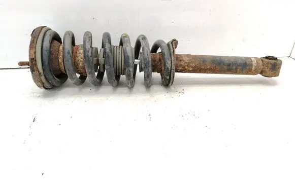 Mitsubishi Pajero Front shock absorber with coil spring