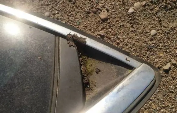 Citroen DS4 Front door exterior handle