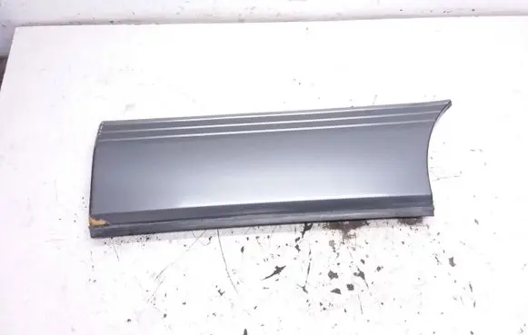 Rear door trim (molding)
