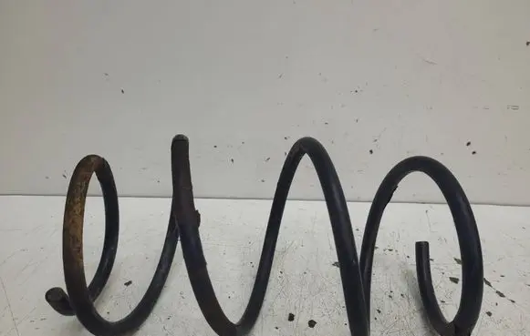 Front coil spring