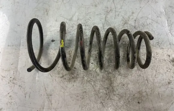Rear coil spring