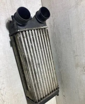Ford B-MAX Intercooler radiator AV219L440AB