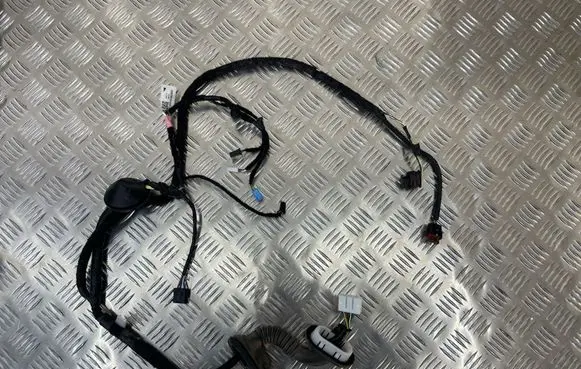 Tesla Model 3 Rear door wiring loom 206796600B