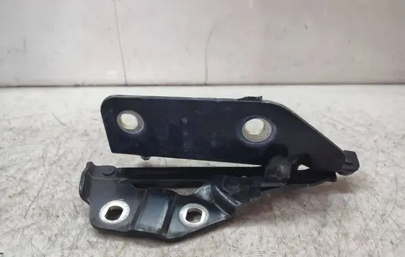 Land Rover Discovery Sport Engine bonnet/hood hinges FK7216801AE