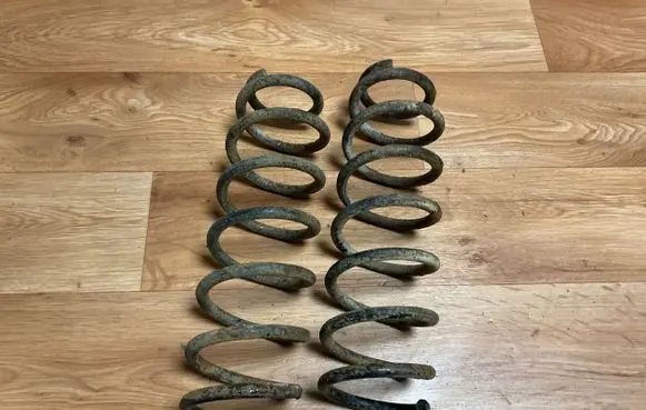Renault Megane III Rear coil spring 