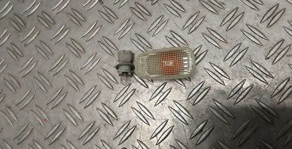 Toyota RAV 4 (XA20) Front fender indicator light 