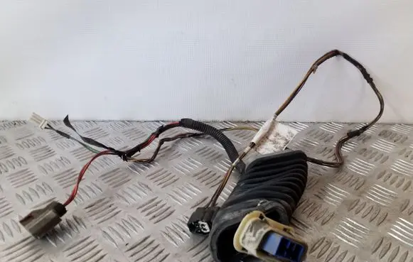 Rear door wiring loom