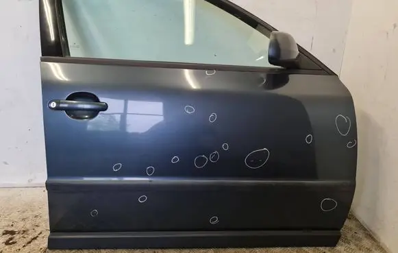 Volkswagen PASSAT B5 Front door 