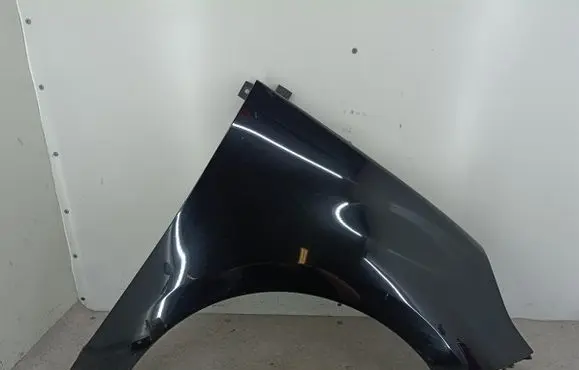 Renault Scenic III - Grand scenic III Fender TEGNE