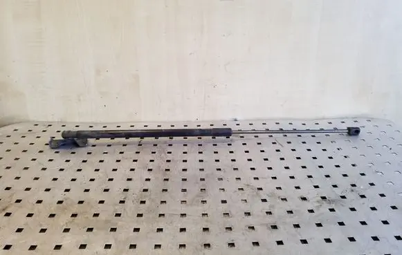 Renault Megane III Tailgate/trunk strut/damper 904510002R