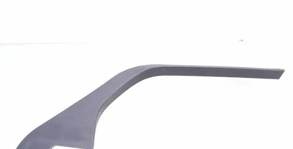 Other rear door trim element