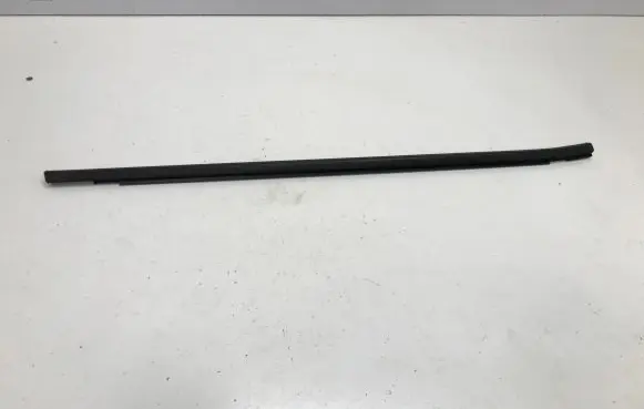 Renault Megane E-Tech Front door trim (molding) 808328950R
