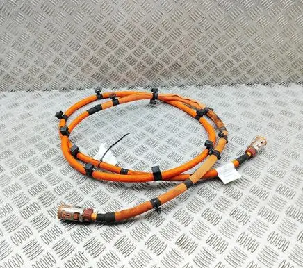 Mercedes-Benz EQE v295 Other wiring loom A2955402803