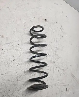 Rear coil spring
