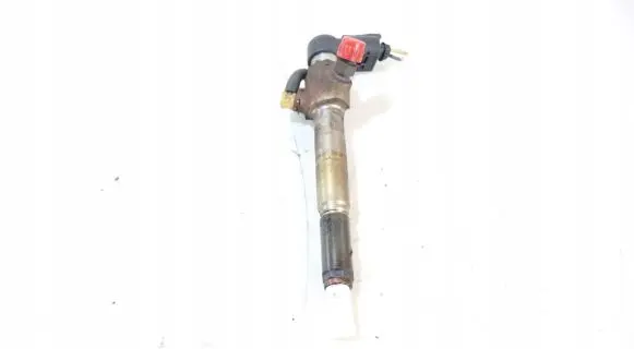 Renault Megane II Fuel injector