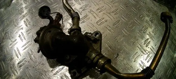 Renault Scenic I EGR valve 72213000