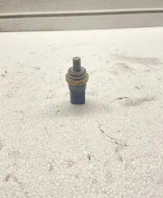 Mitsubishi Grandis Coolant temperature sensor 06A919501
