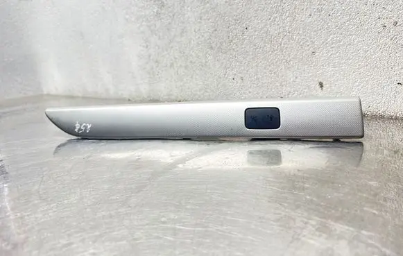 Opel Antara Panel trim 20880541