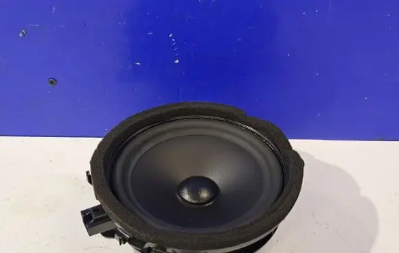 Front door speaker