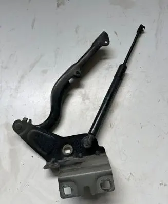 Renault Talisman Engine bonnet/hood hinges 654002504R