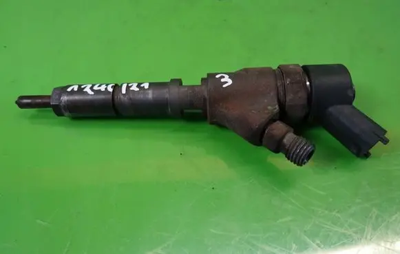 Citroen C5 Fuel injector 0445110076